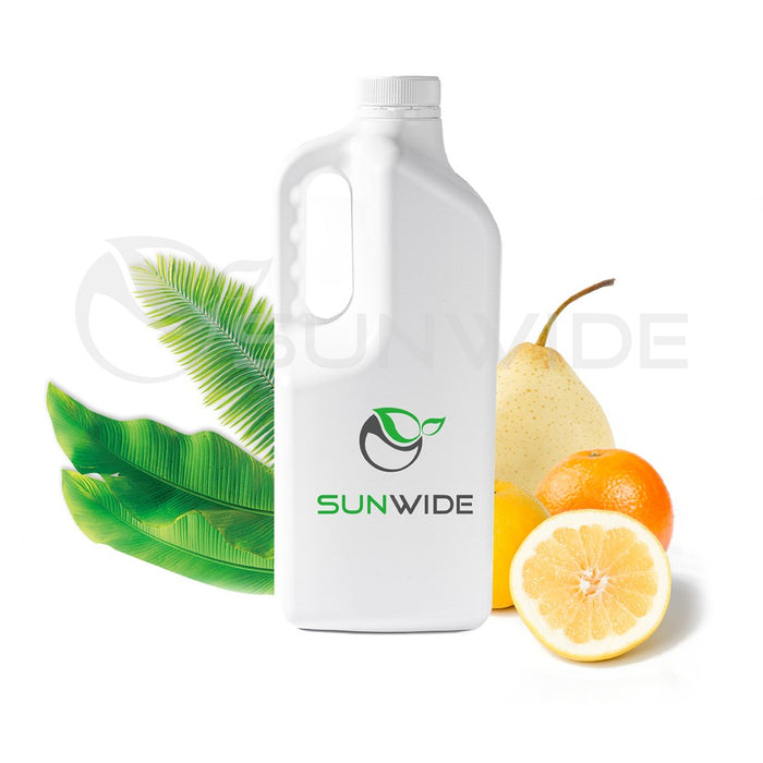 LT Tropical Fruit Syrup 2.4kg
