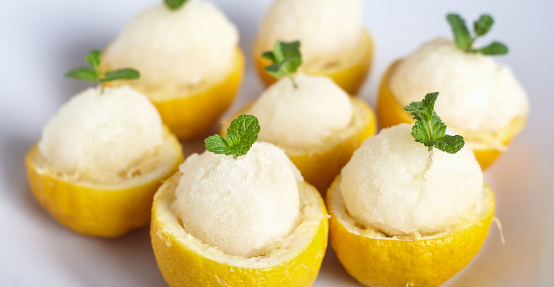 Lemon Sorbet