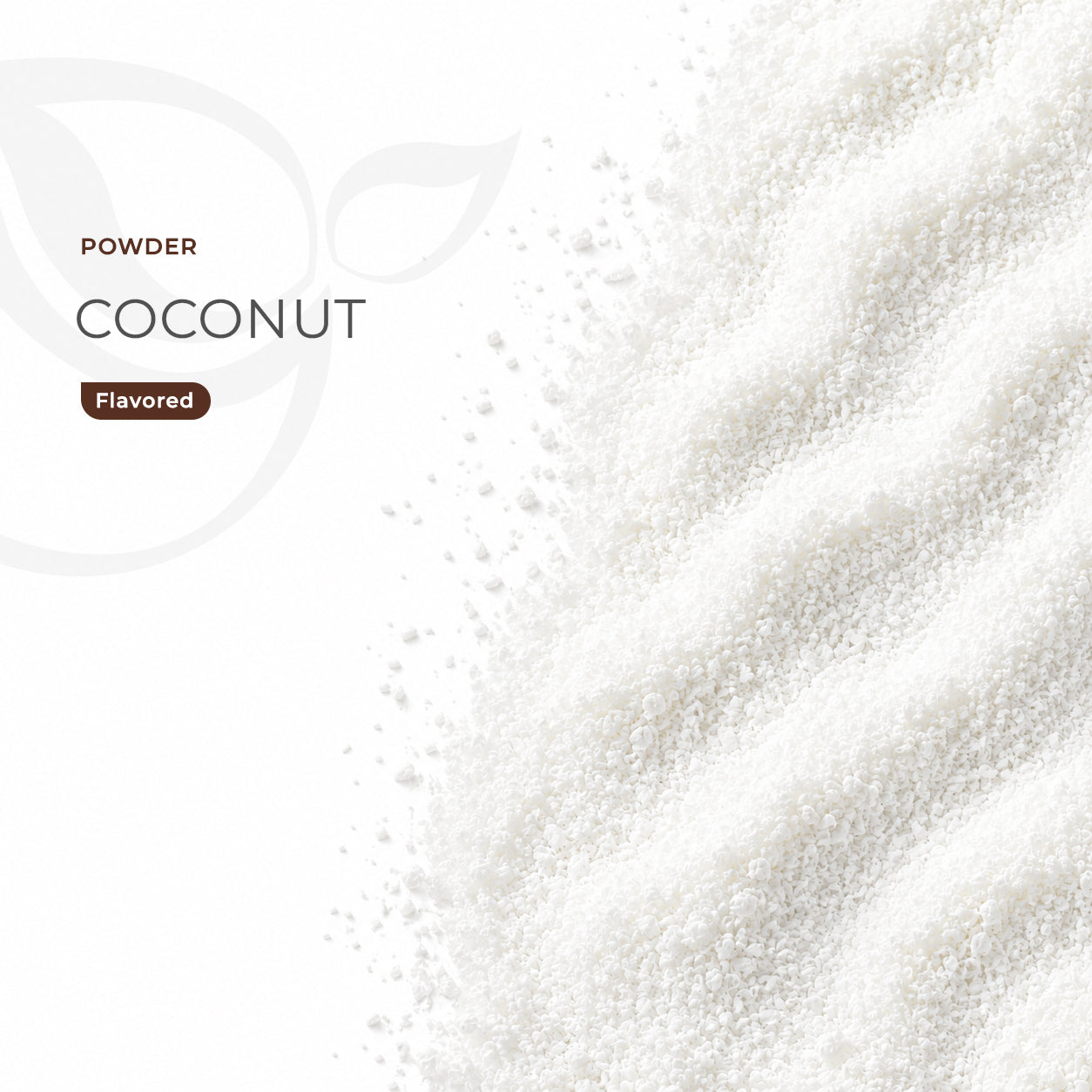 Coconut Powder 1kg