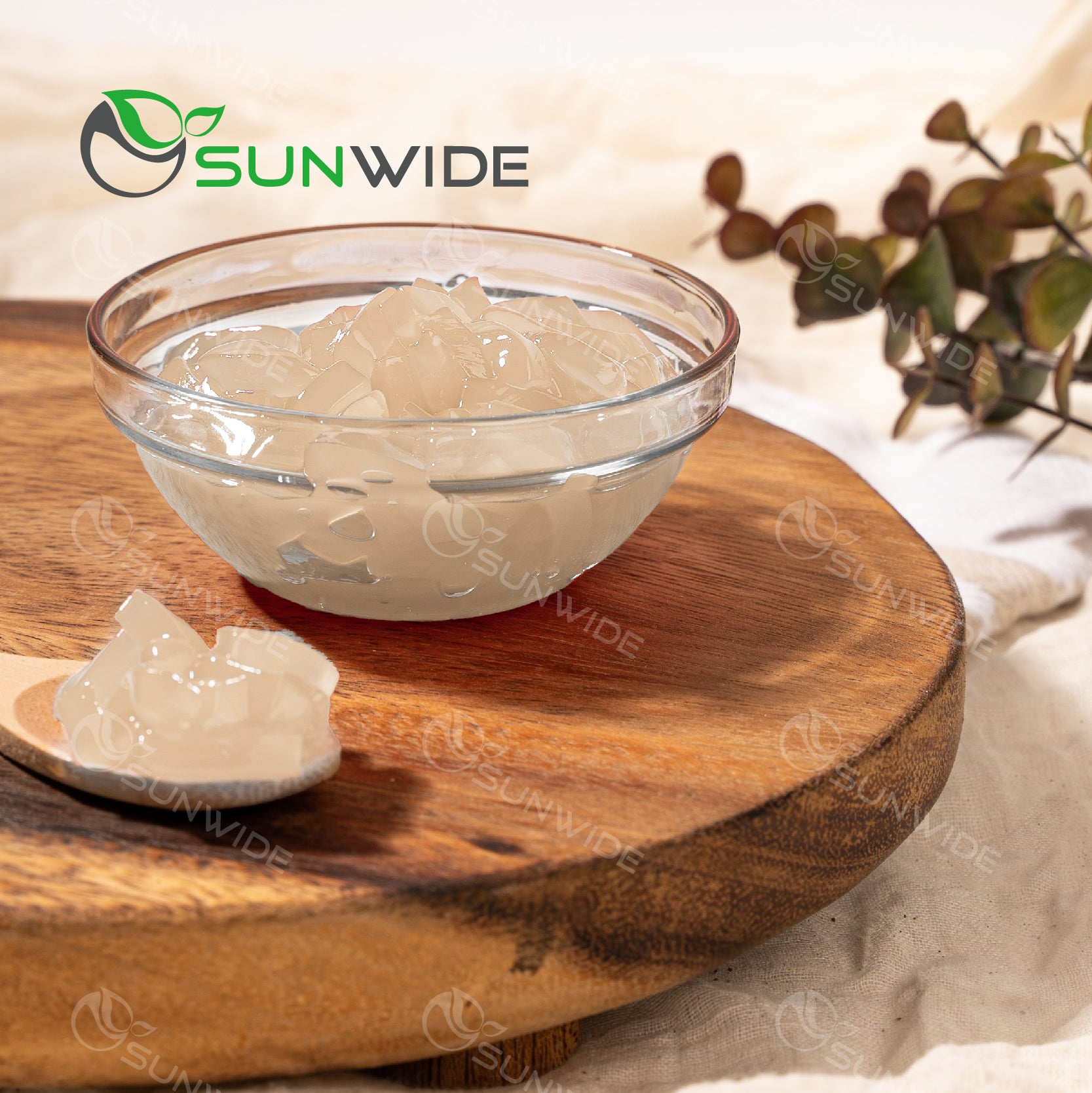 Coconut Jelly - Lychee 4kg