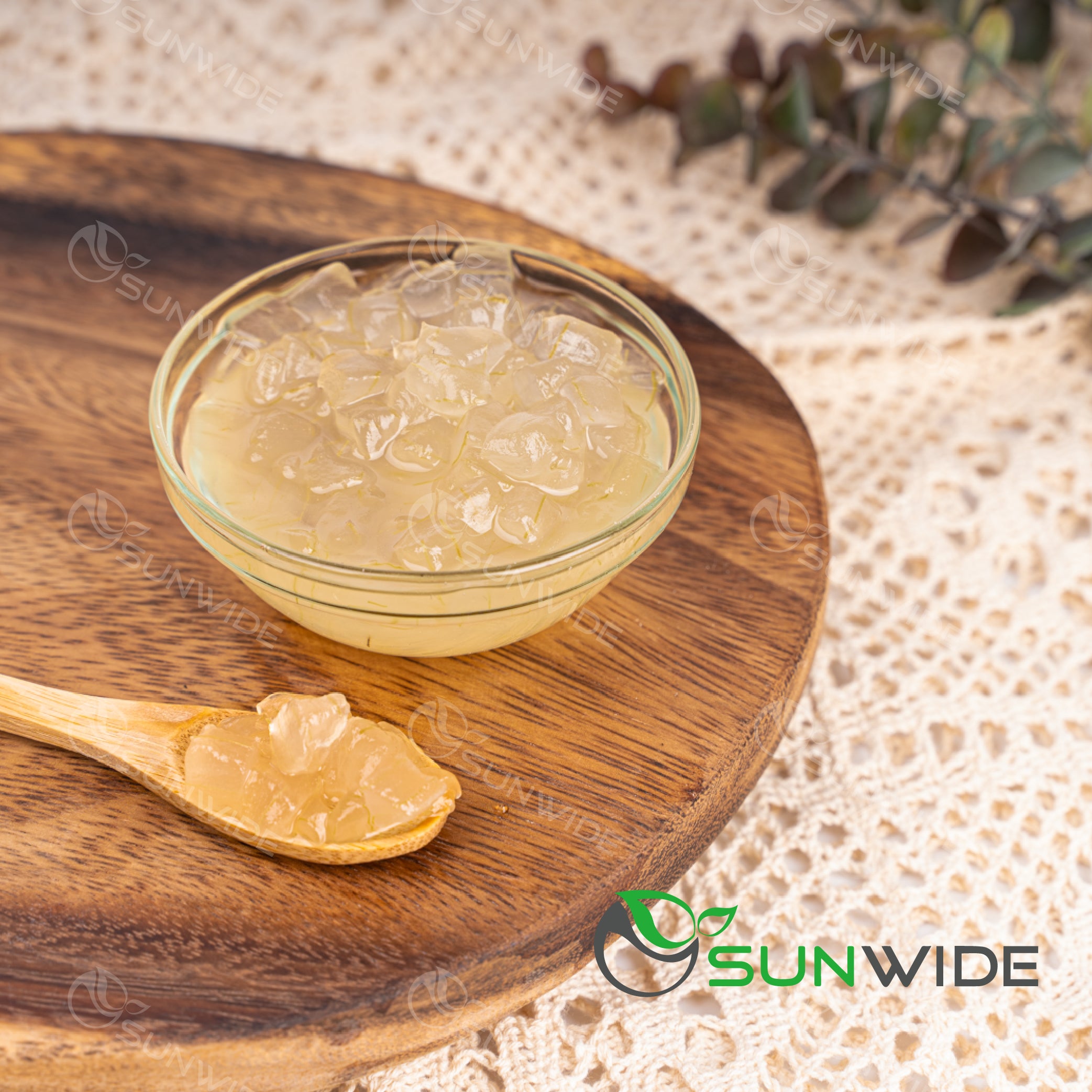 Honey Aloe Vera Canned 3kg