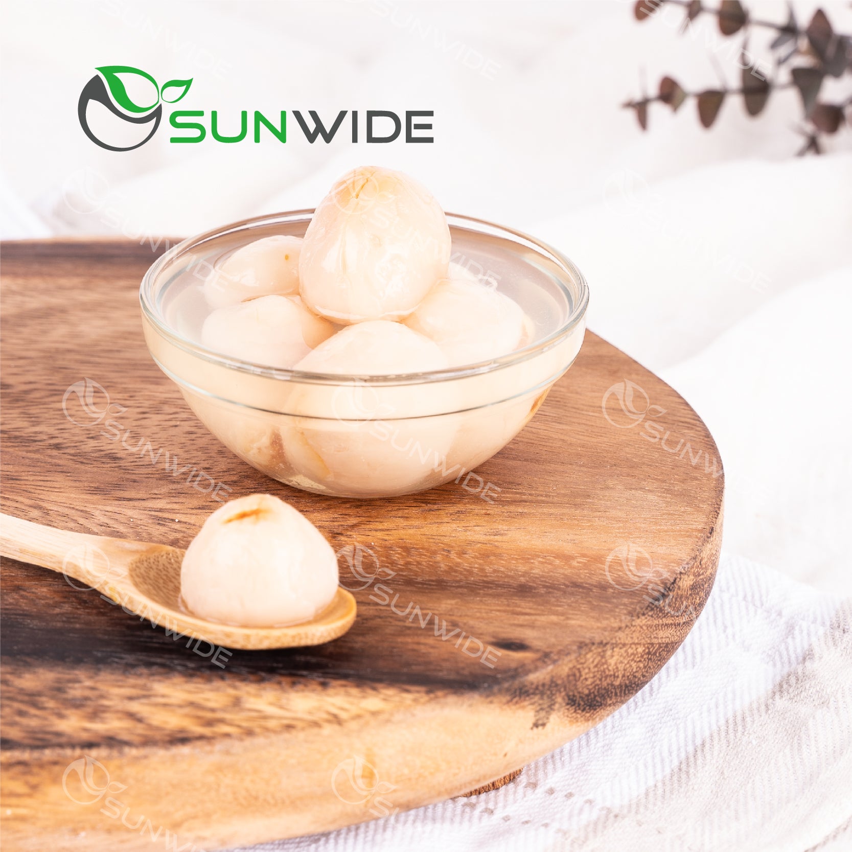 Lychee in Syrup 567g