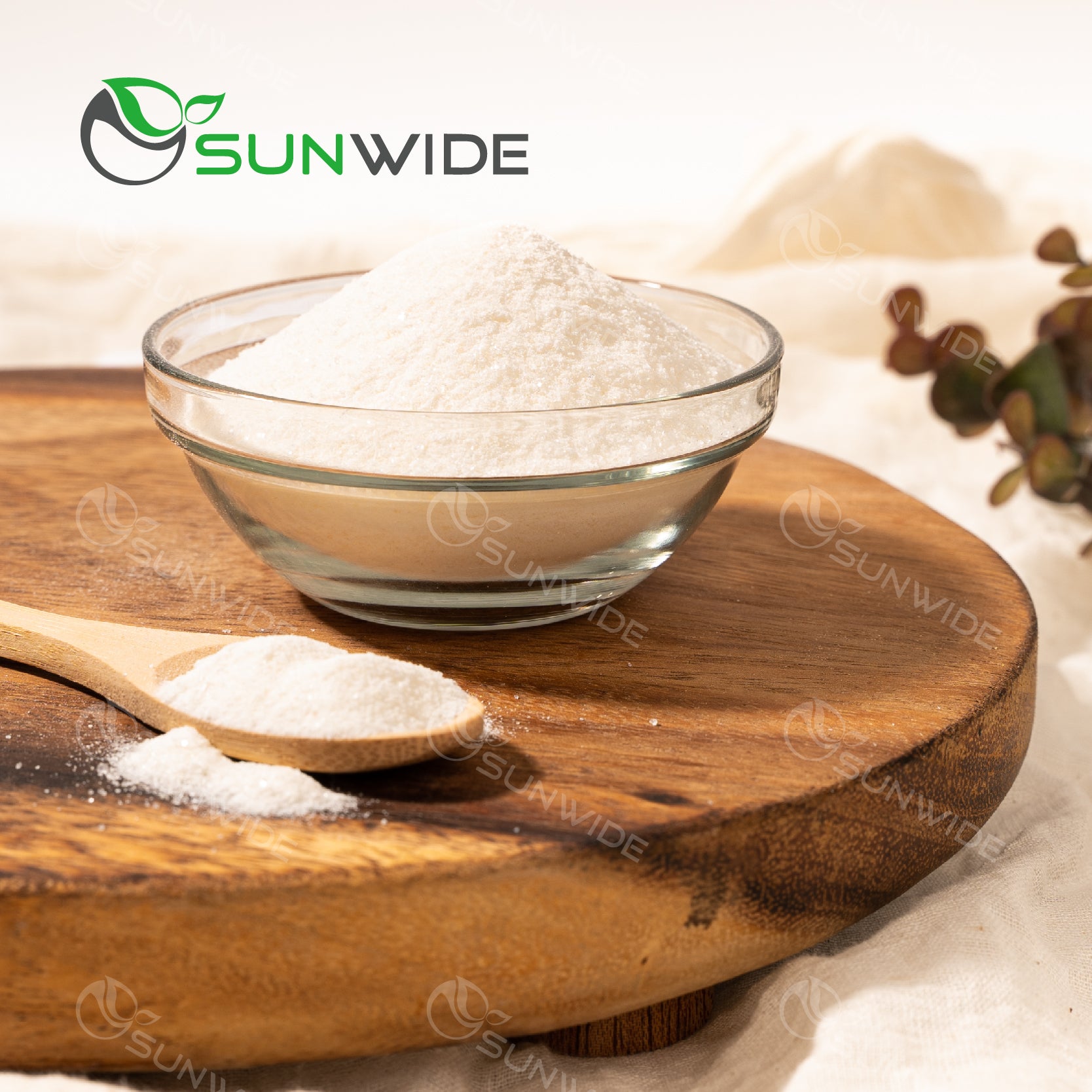 Lychee Powder 1kg